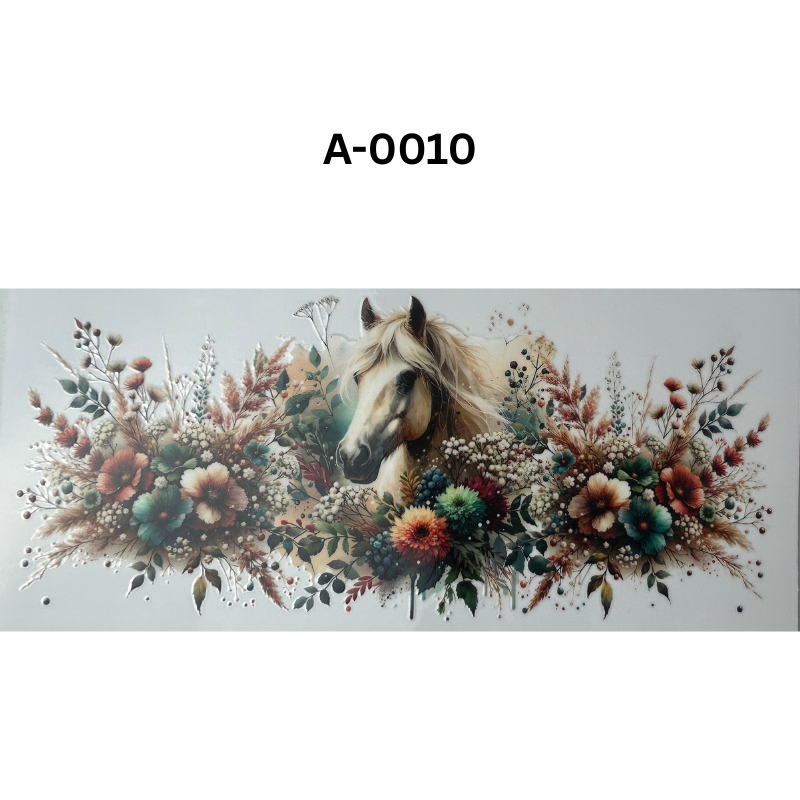 A-0010