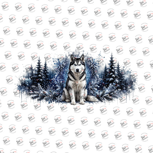 Husky im Winterwald