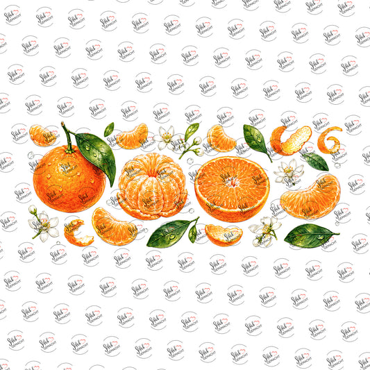 Orangen und Mandarinen