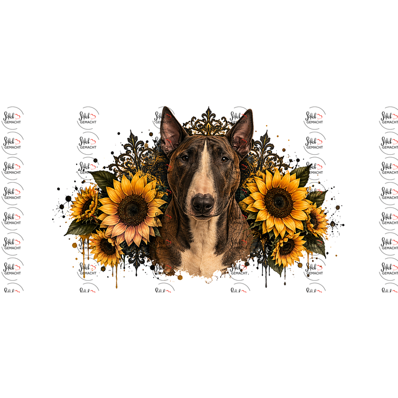 Bullterrier – Charakterkopf zwischen Sonnenblumen