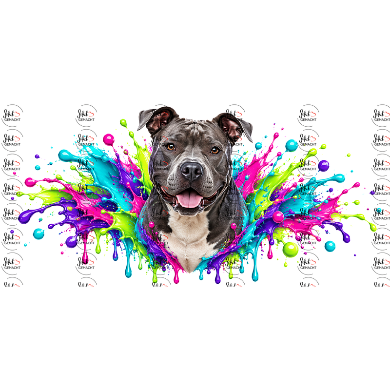 Stafford Bull Terrier im Farbwahn