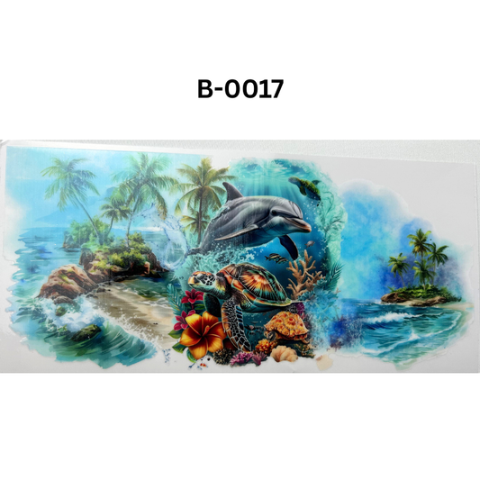 B-0017