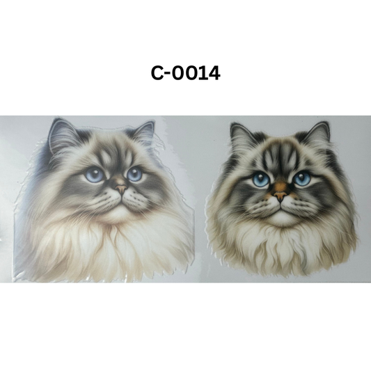 C-0014