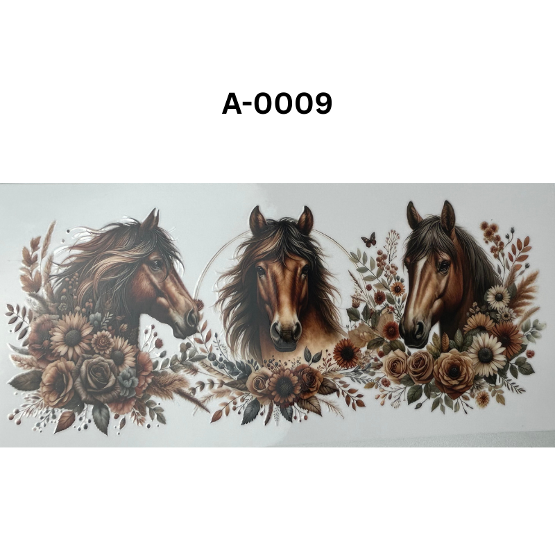 A-0009