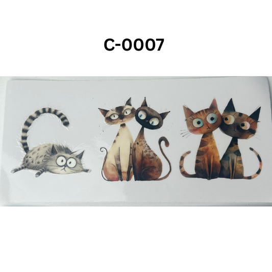 C-0007