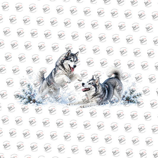 Huskys im Schnee