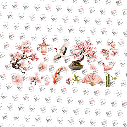 Koi und Kirschblüten