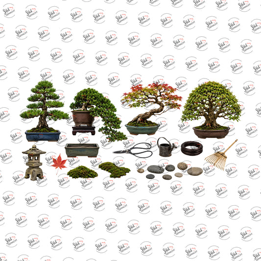 Bonsai-Sammlung