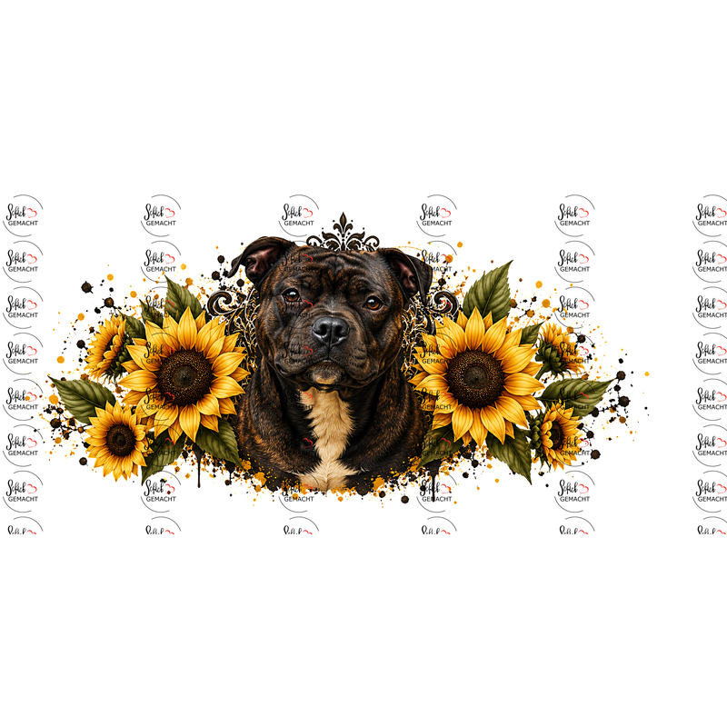 Staffordshire Bull Terrier – Brindle-Schönheit im Sonnenblumenmeer