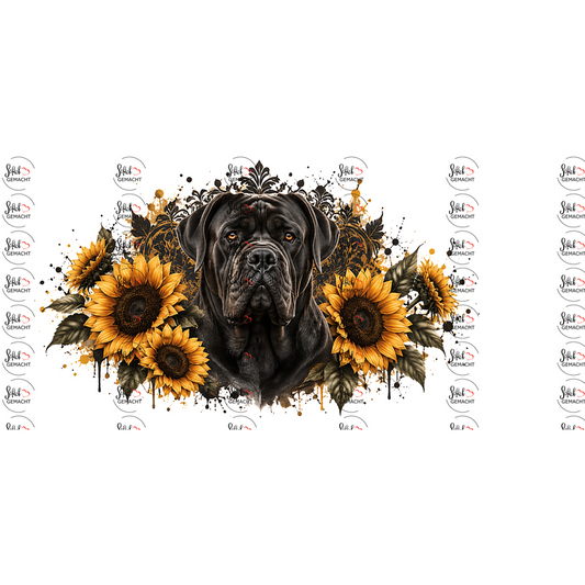 Cane Corso – Dunkle Eleganz im Sonnenblumenglanz