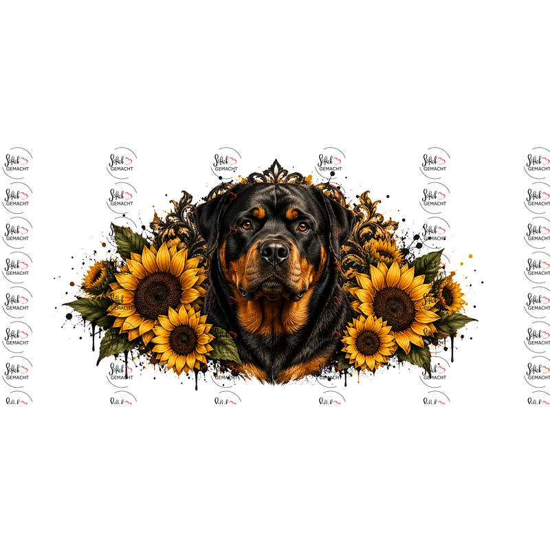 Rottweiler – Treuer Wächter in Gold und Schwarz