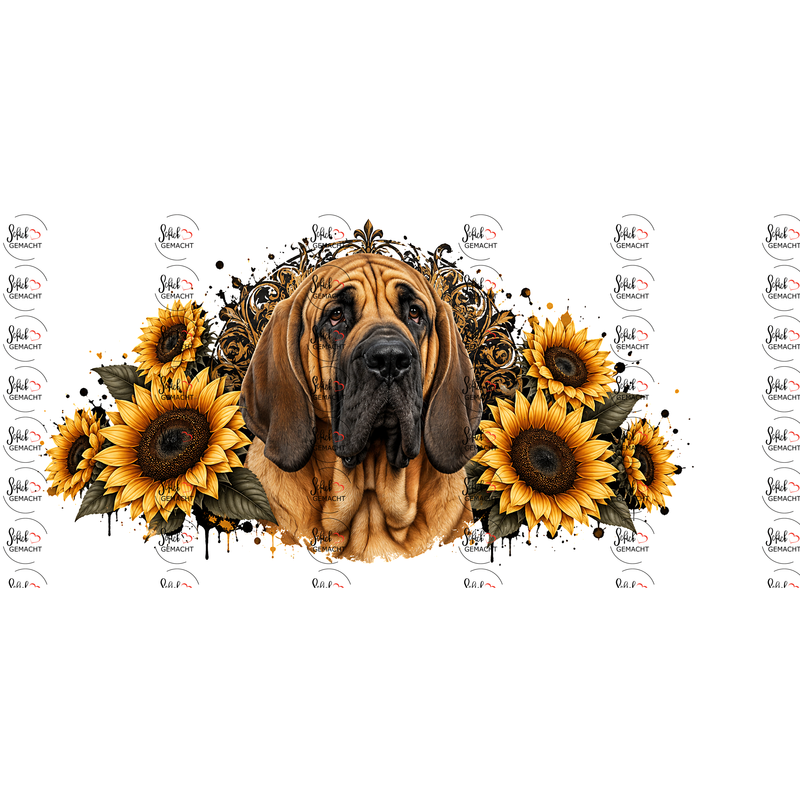 Bloodhound – Sanfte Falten, treue Seele