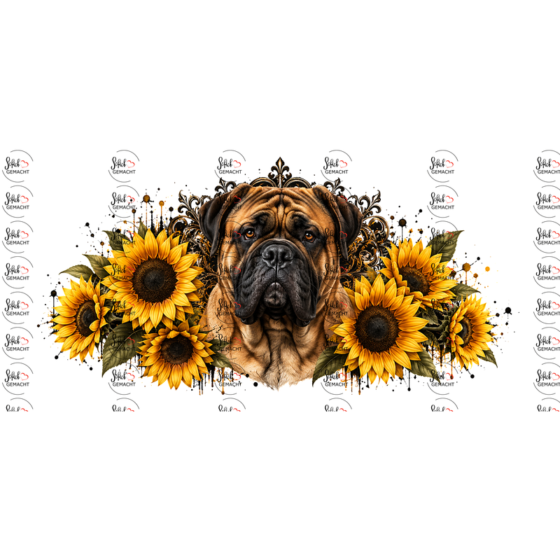 Bullmastiff – Gemütlicher Riese im Blumenmeer