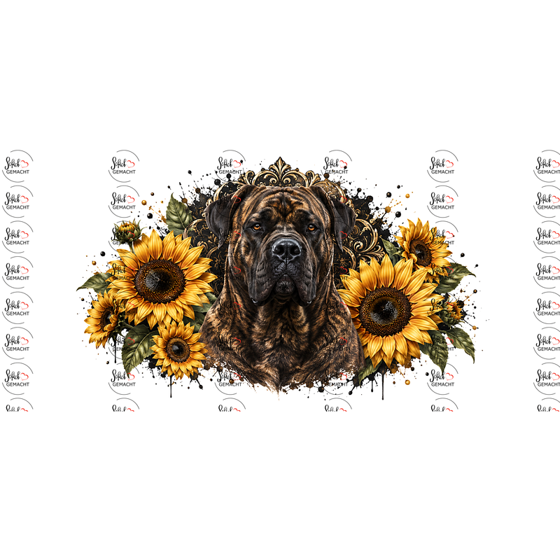 Presa Canario – Gestromte Stärke, goldener Rahmen