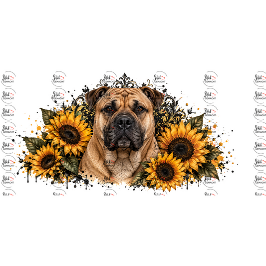 Boerboel – Wachsamer Blick im Sonnenlicht