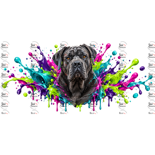 Cane Corso im Farbwahn